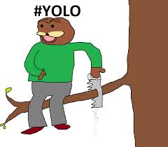 Yolo spurdo — Reaction meme