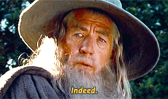 Indeed Gandalf — Reaction meme