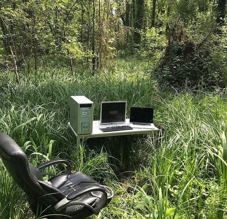 Working from home — Memes meme