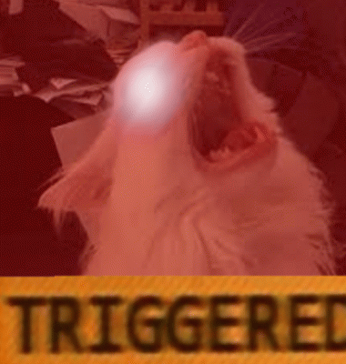 Triggered — Memes meme