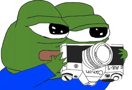 Pepe holding camera upside down — Pepe meme