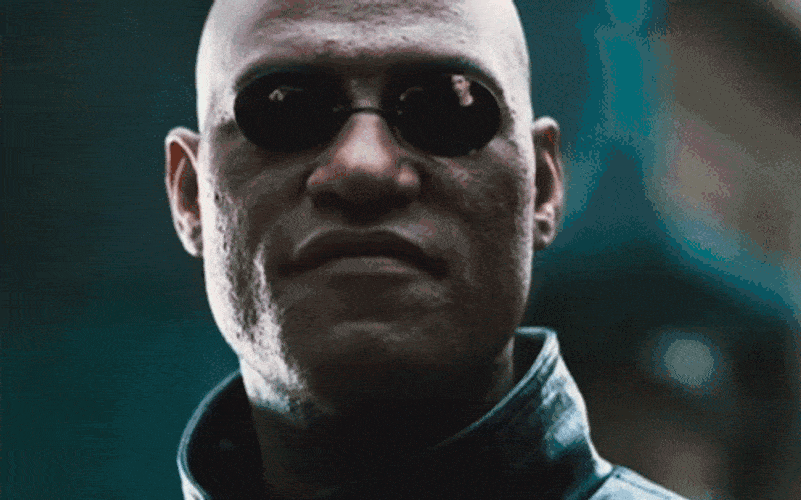 Morpheus's Knowing Smirk — Reaction meme