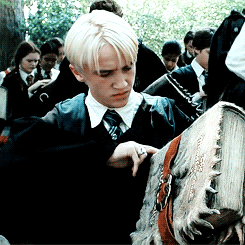 Draco Malfoy Despise — Reaction meme