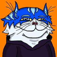 Toshi cat smug wearing hoodie — $TOSHI meme