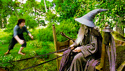 Frodo Happy to See Gandalf — Reaction meme