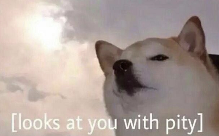 Dog pitys you — Reaction meme