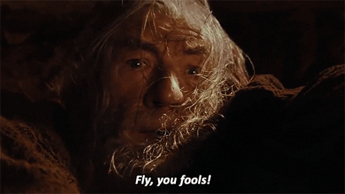Fly, You Fools — Reaction meme