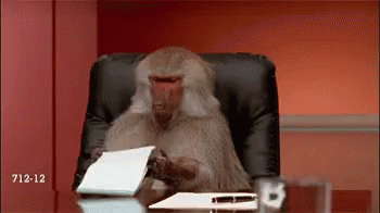 Baboon Reviewing Documents / Meeting — Reaction meme