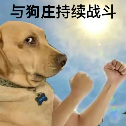 与狗庄持续战斗 — Reaction meme