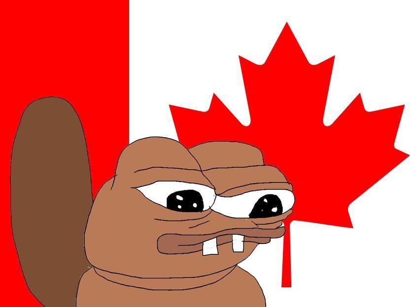 Pepe beaver canada — Pepe meme
