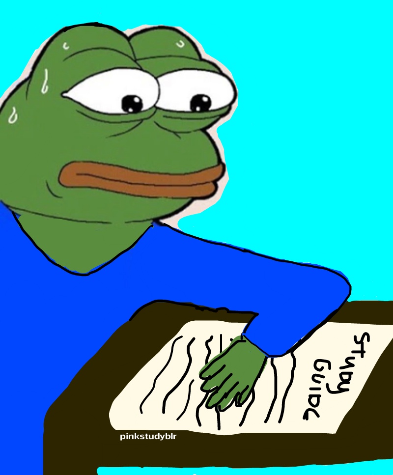 Pepe study guide — Pepe meme