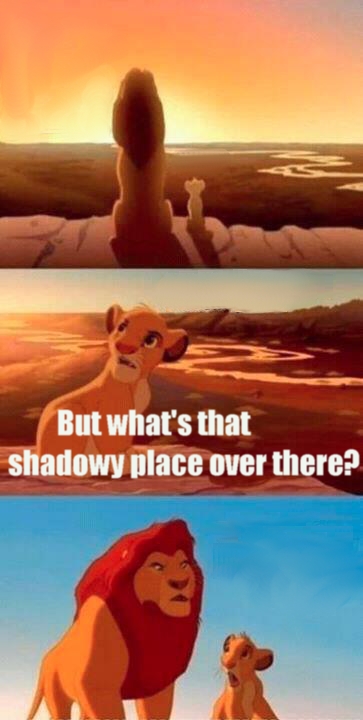 Simba Shadowy Place meme template — Templates meme