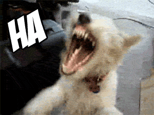 Dog Laughing Hard — Reaction meme