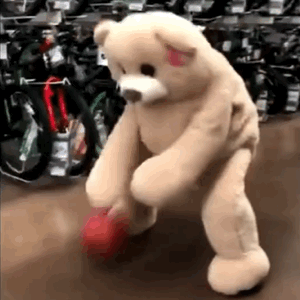 Bear Playing Basketball — Reaction meme