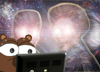 Bobo bogs — Bobo meme