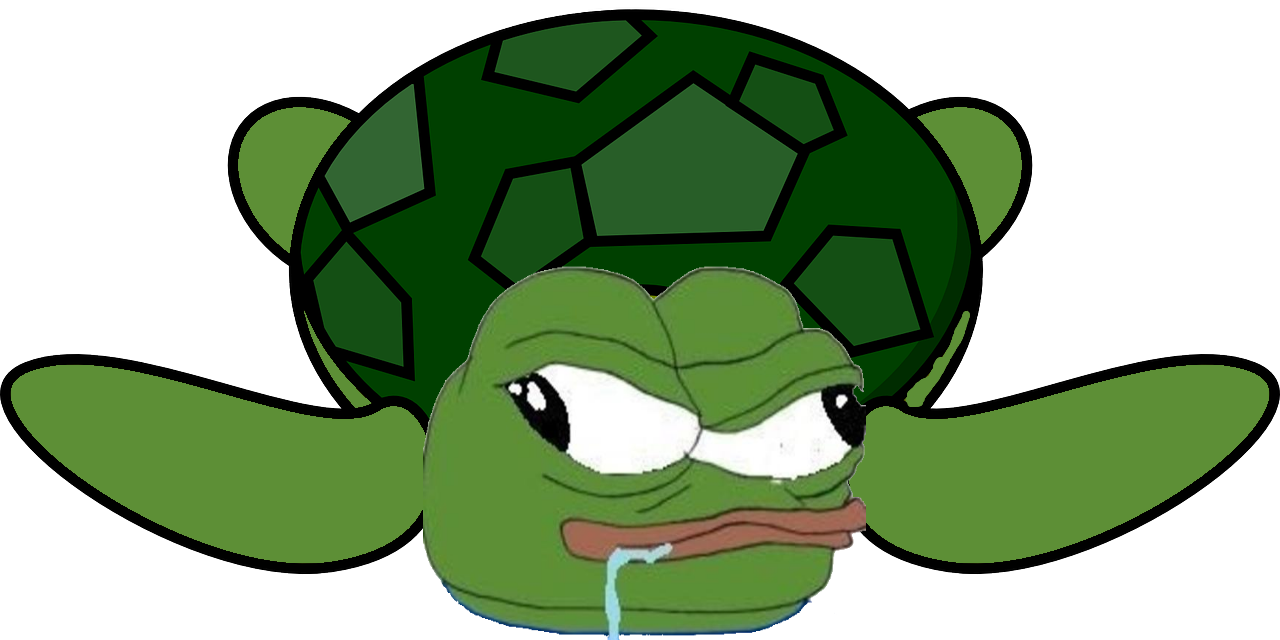 Pepe confused turtle — Pepe meme
