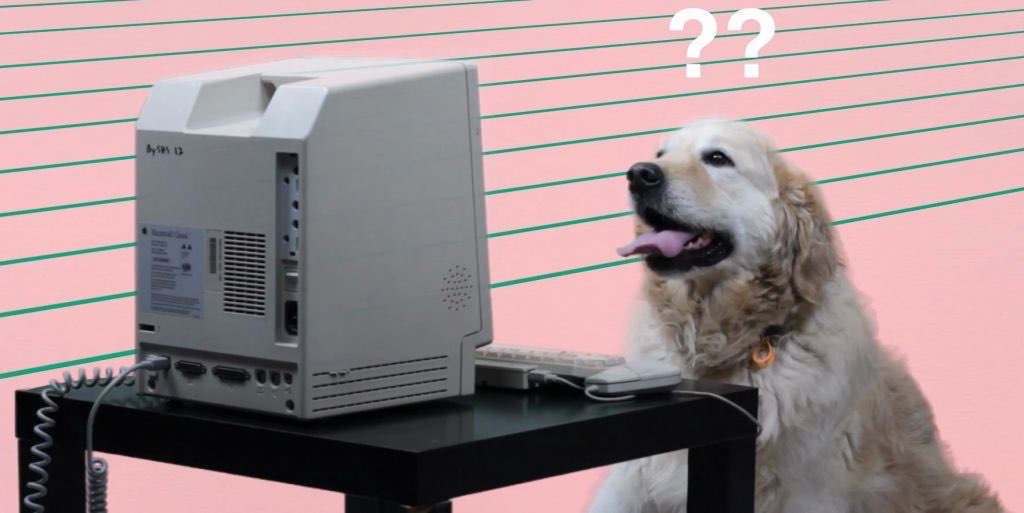 Dog confused behind computer — Reaction meme
