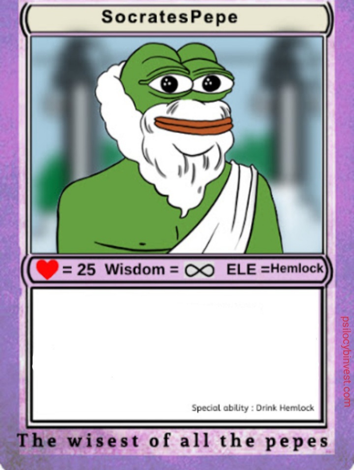 Pepe socrates trading card — Pepe meme