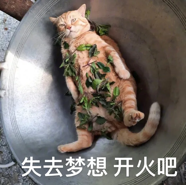 失去梦想 开火吧 — Reaction meme