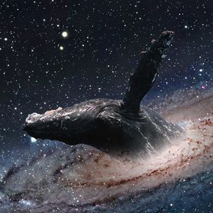 Whale galaxy — Reaction meme
