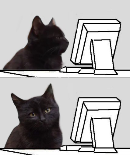 Cat looking at computer screen — Reaction meme