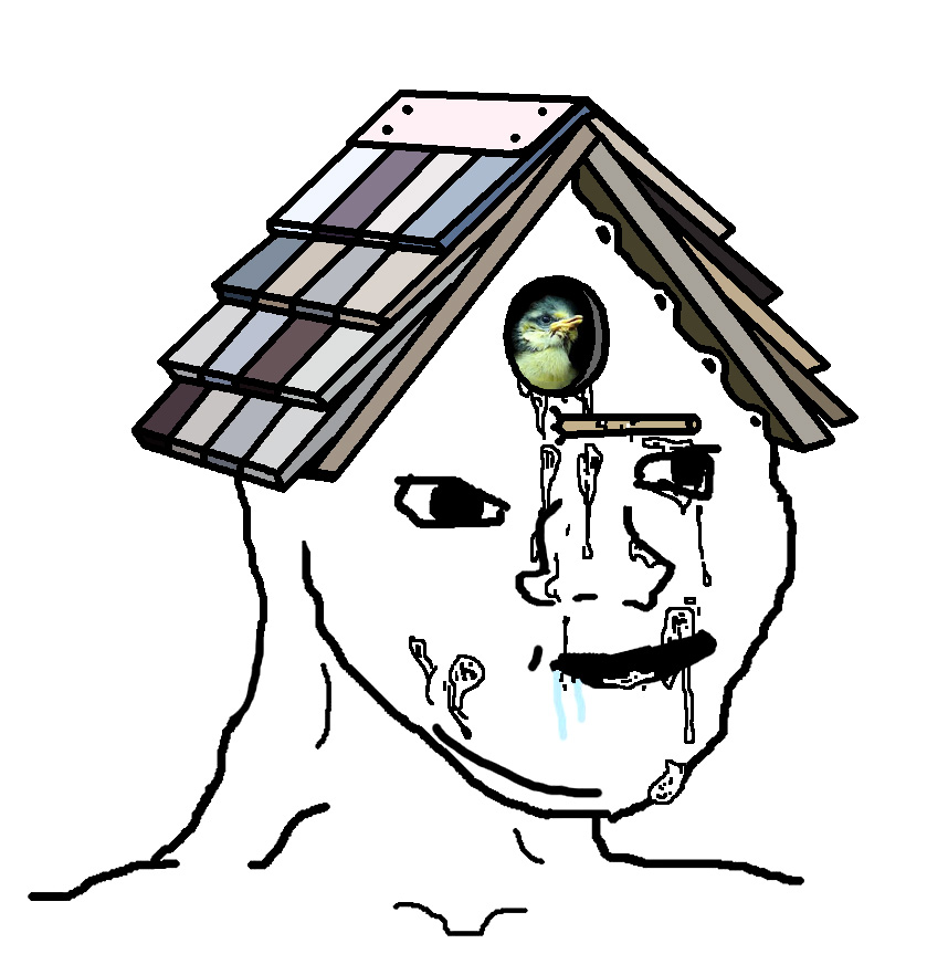 Brainlet birdhouse brain — Brainlet meme