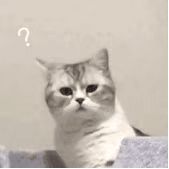 Cat Question Marks — Reaction meme