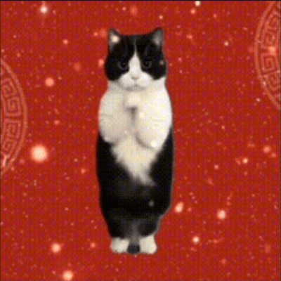 恭喜发财 万事如意 Cat Wishes You Good Luck and Fortune — Reaction meme