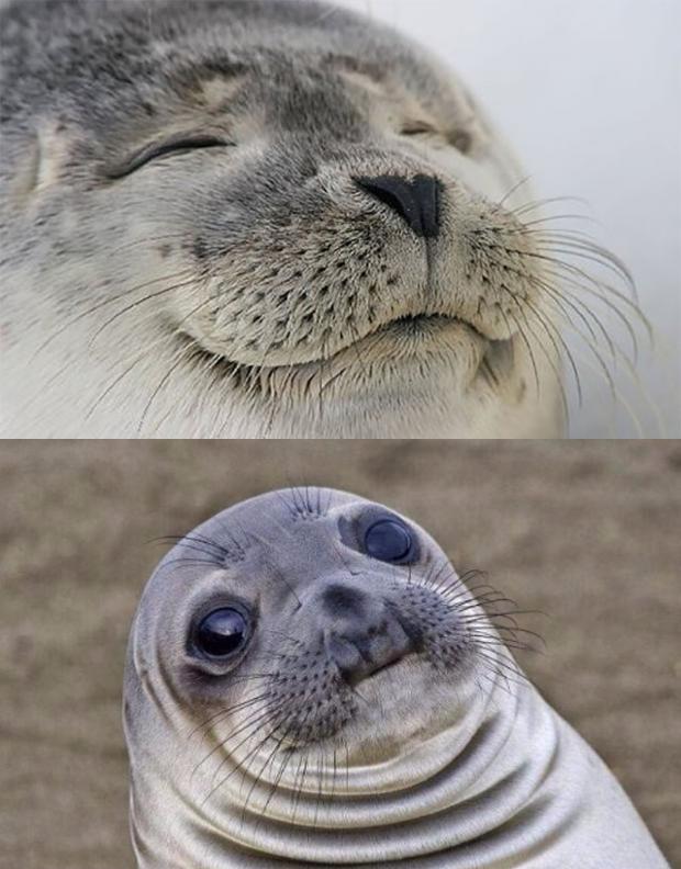 Short Satisfaction VS Truth meme template — Templates meme