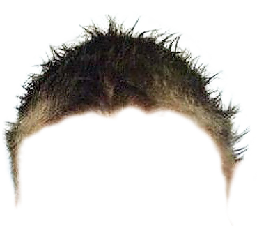 Meme template just hairline — Templates meme