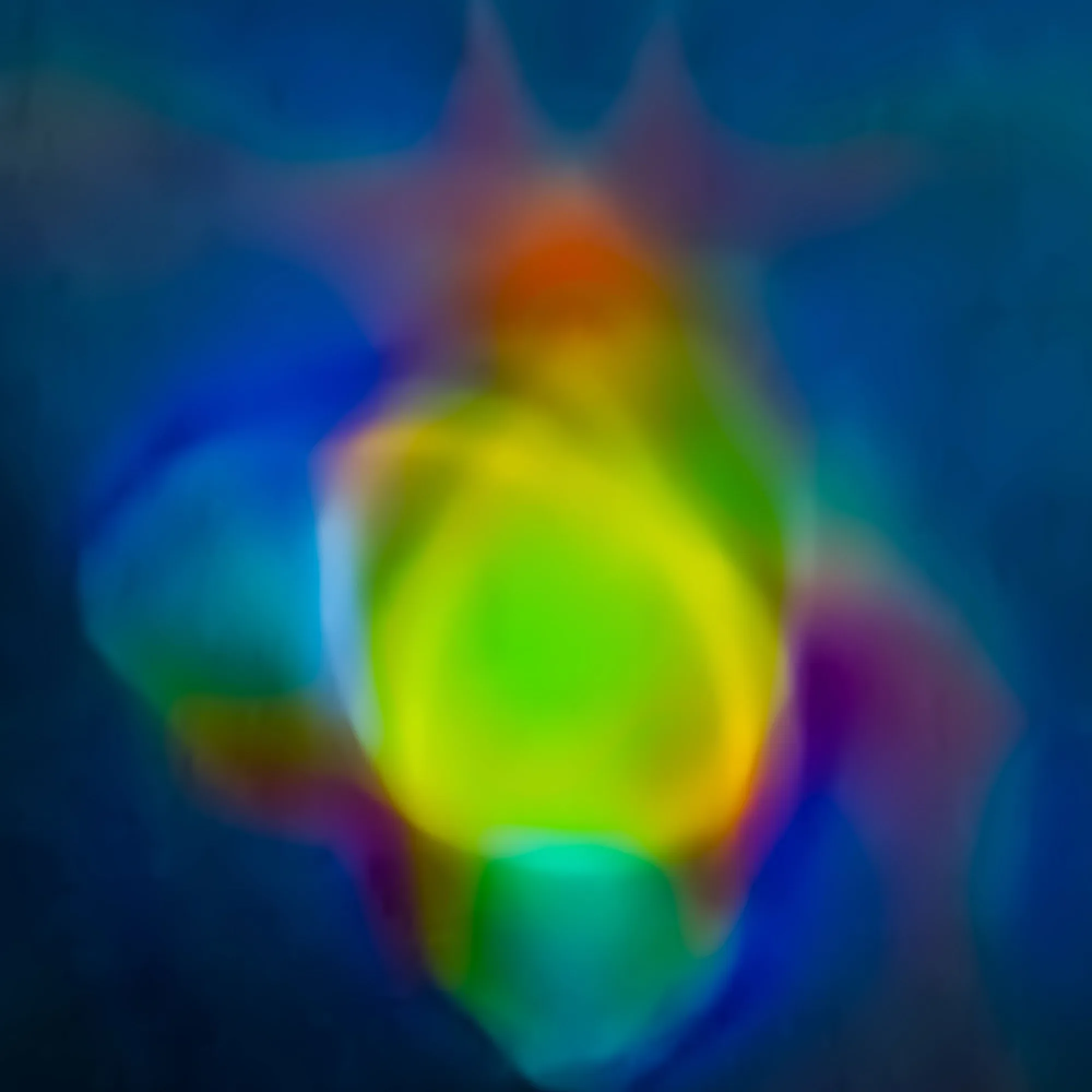 NebulaBow #4: Stardust Dreaming Into Shapes — Trippy meme