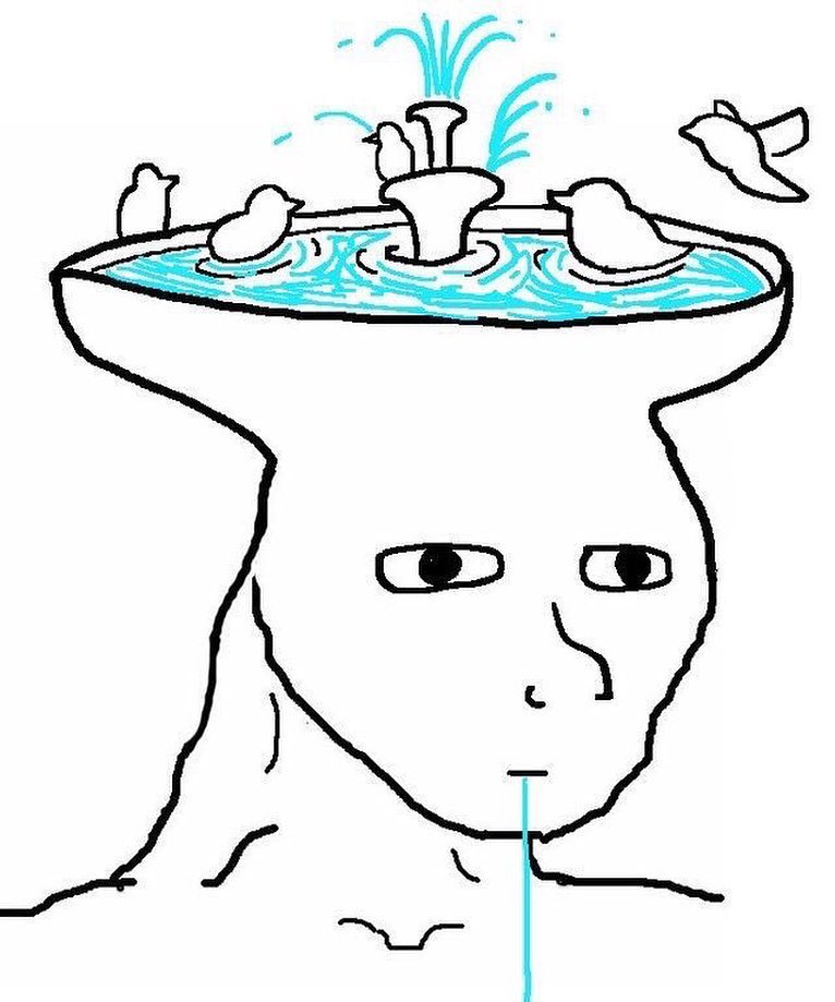 Brainlet bird bath brain — Brainlet meme