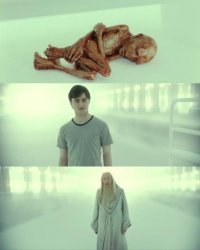 Dead Baby Voldemort / What Happened To Him meme template — Templates meme