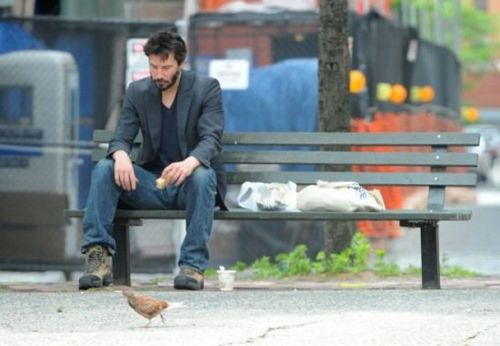 Sad Keanu meme template — Templates meme