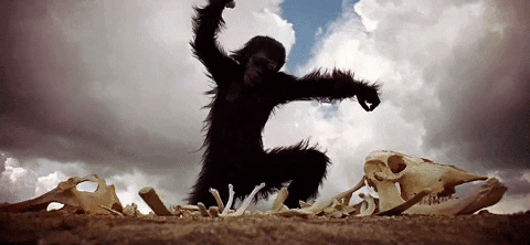 Sashing Bones in Primitive Rage 2001 — Reaction meme
