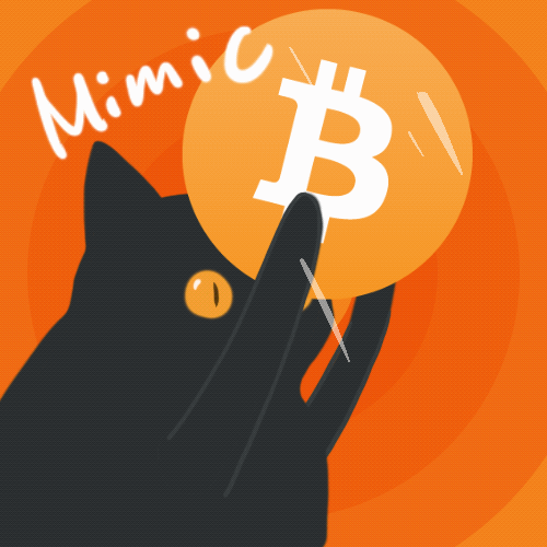 Cat Shaking BTC — Reaction meme