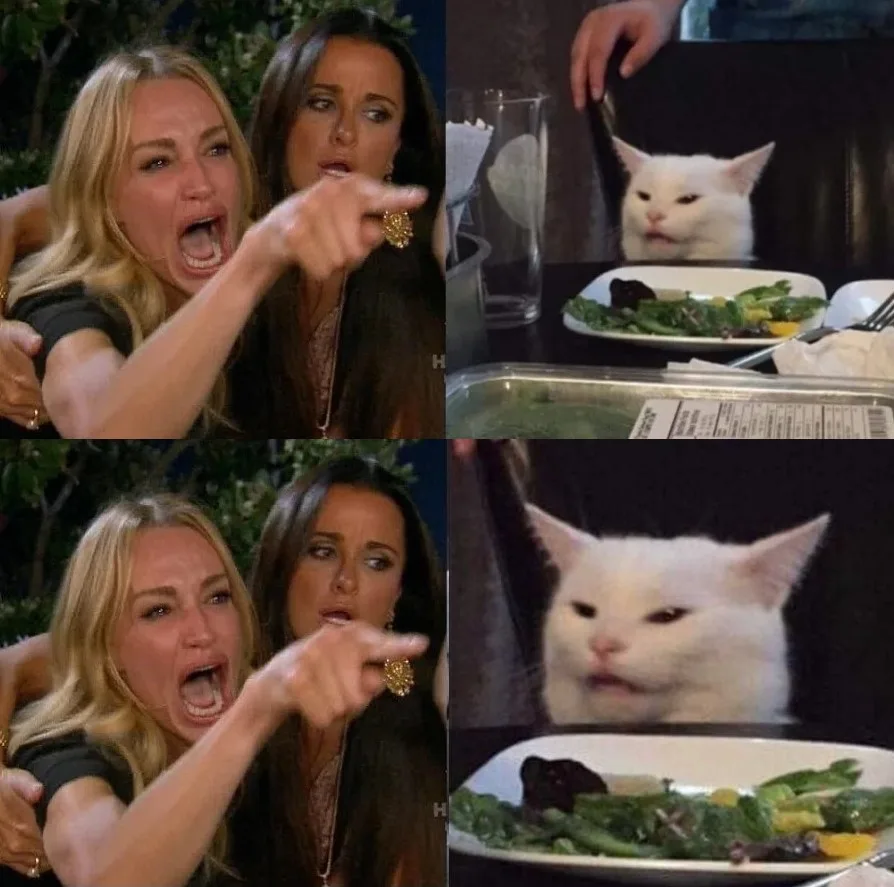 1. Woman Yelling at a Cat (Smudge the Cat) — Templates meme