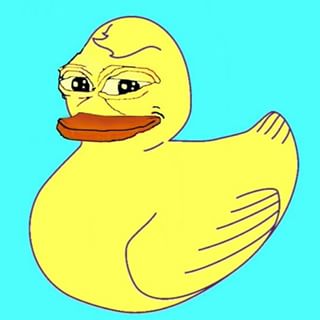 Pepe yellow duck — Pepe meme