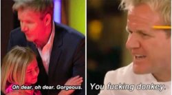 Gordon Ramsay kids vs adults meme template — Templates meme