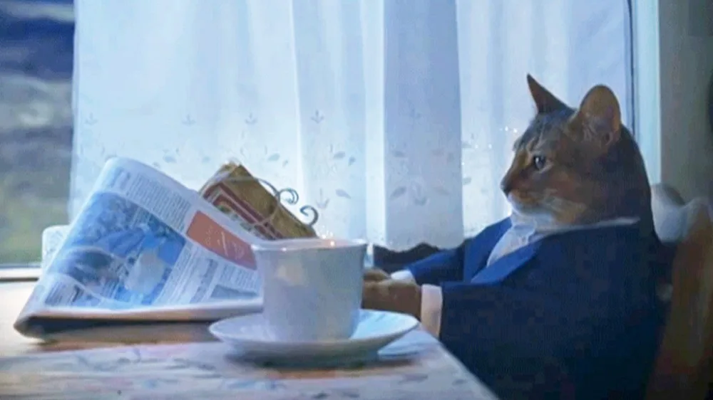 "I Should Buy a Boat" Cat / Business Cat — Templates meme