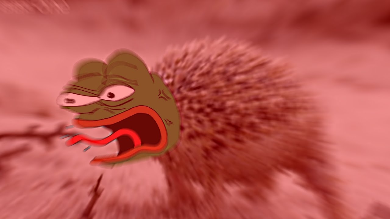 Pepe angry hedgehog — Pepe meme