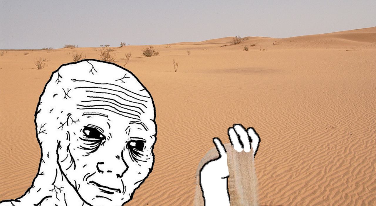 Wojak desert — Wojak meme