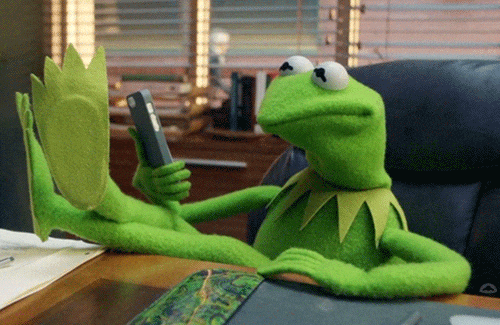 Kermit Disappointed — Reaction meme