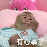 有心事了 Something Troubling Me — Memes meme