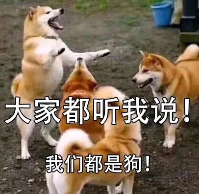 大家都听我说，我们都是狗 — Reaction meme