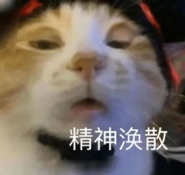 精神涣散 — Reaction meme