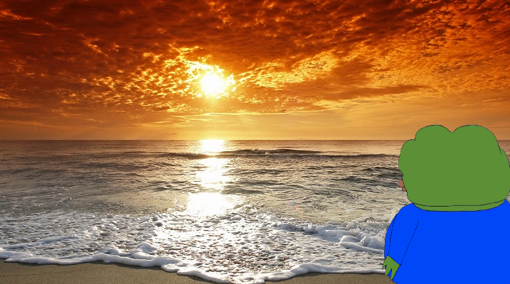 Pepe looking at sea sunset — Pepe meme