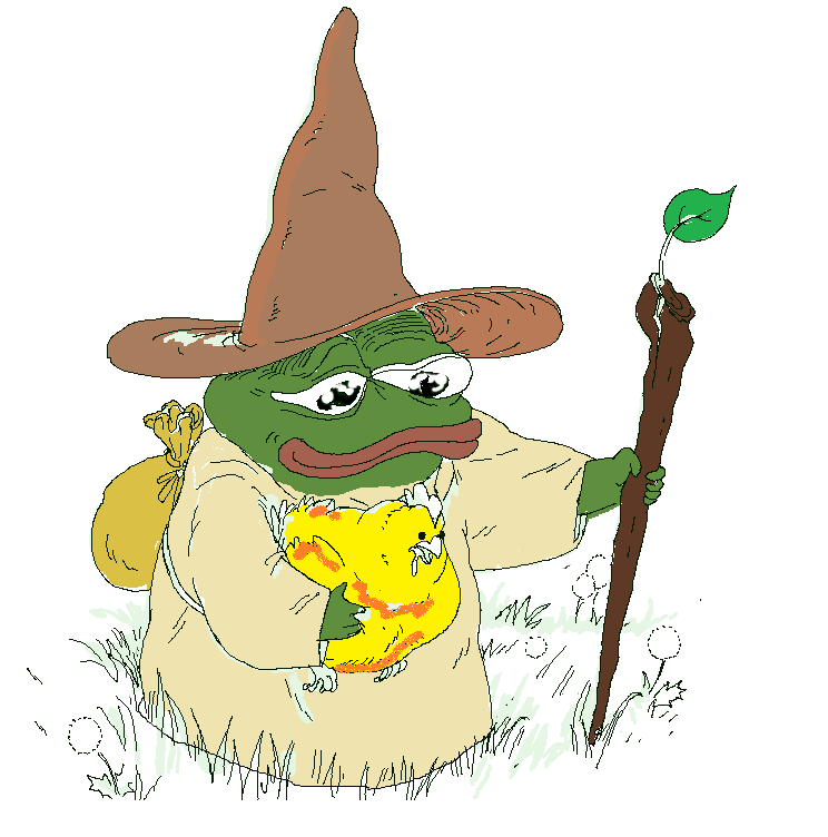 Pepe wizard on journey — Pepe meme