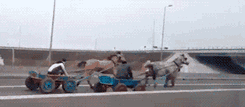 Green Energy Travalling — Memes meme
