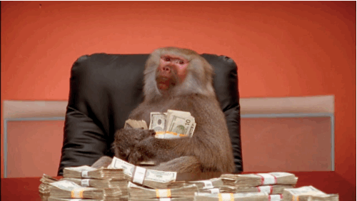 Rich Baboon Counting Cash — Reaction meme